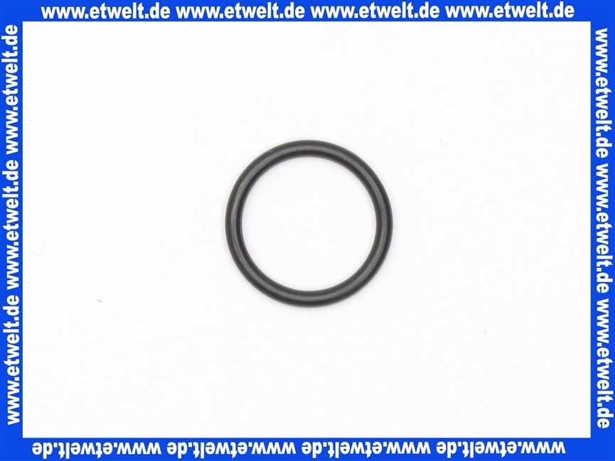 92513000 O-Ring Kludi