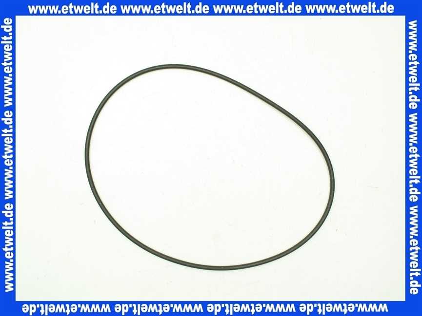 O-Ring Dichtung Dichtring 253,37x5,33 mm NBR