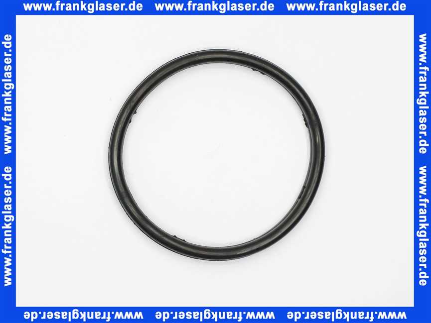 Remeha Dichtung/O-Ring Reinigungsflansch 7795810