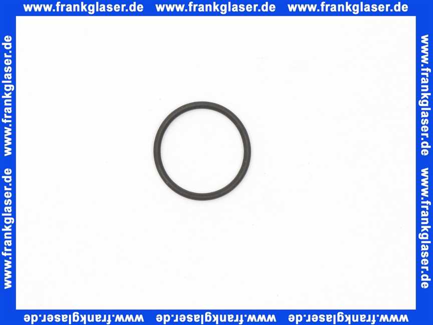 Remeha O-Ring Dichtung für Flammkopf 97955610 (1 Stück)