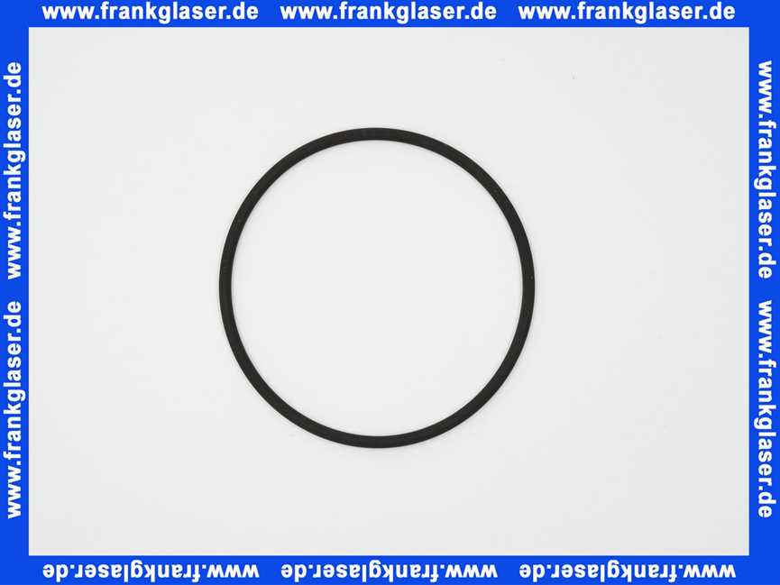 Rotex O-Ring für Brennerflansch für ROTEX A1 BO bis BJ 2018 5005012