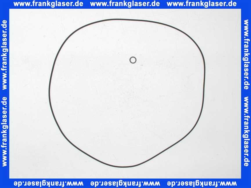 Rotex Dichtring Frontabdeckung 36kW für ROTEX GW 36 KW bis BJ 2019 5020967