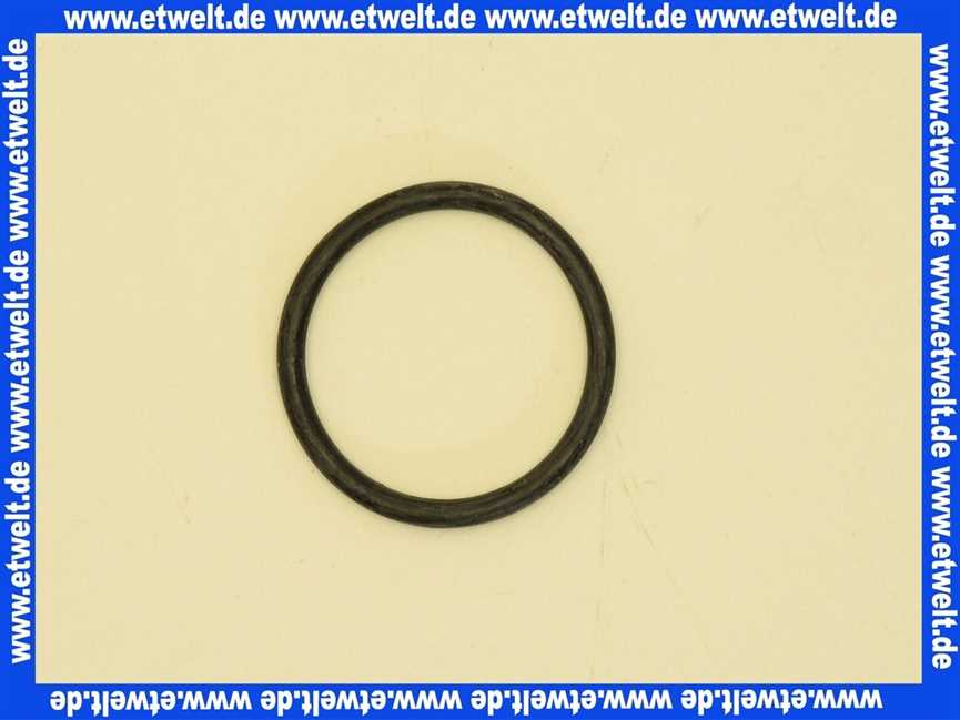 363808 Schwab O-Ring Auslaufstutzen Z7207, 170.00XX