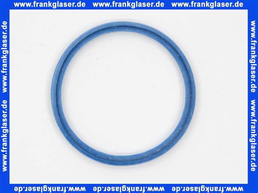 7096475 Sieger Lippendichtung DN80 (blau) für GB112, GB142, WHK Abgas