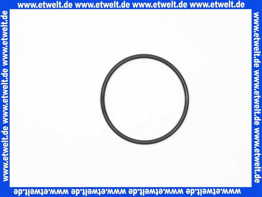 7101596 Sieger O-Ring 48,9x2,62 für GB022, GB152