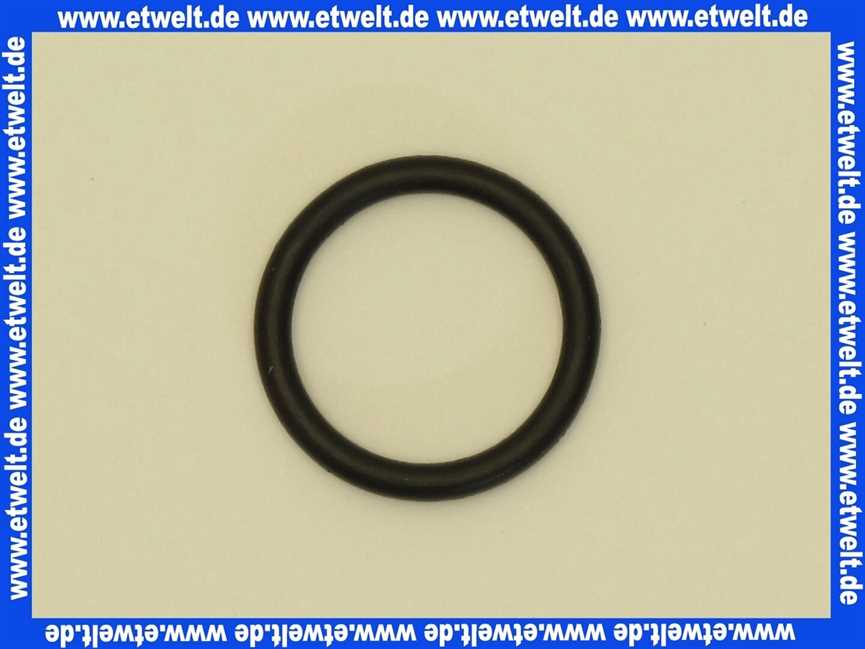 8718601962 Sieger O-RING 2.62X18.72 für BK 11 W-11,-18 1 Stück