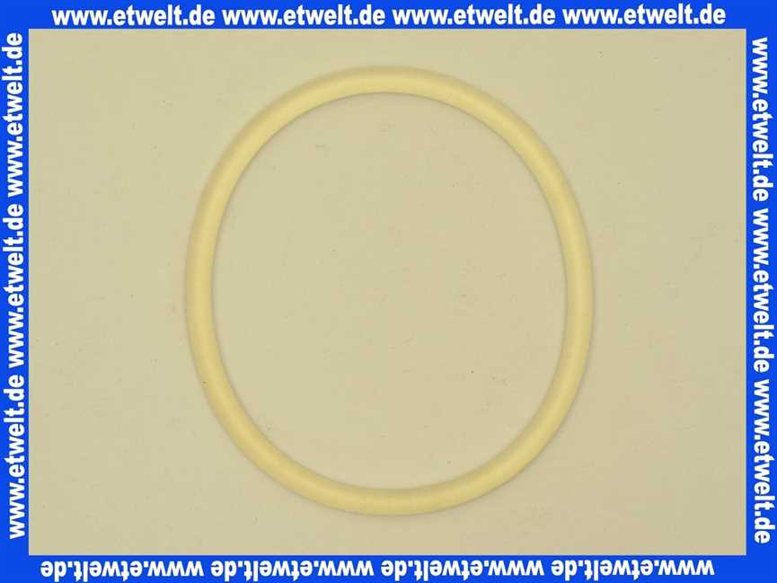 Stiebel Eltron 056700 O-Ring 79,5x5 SS