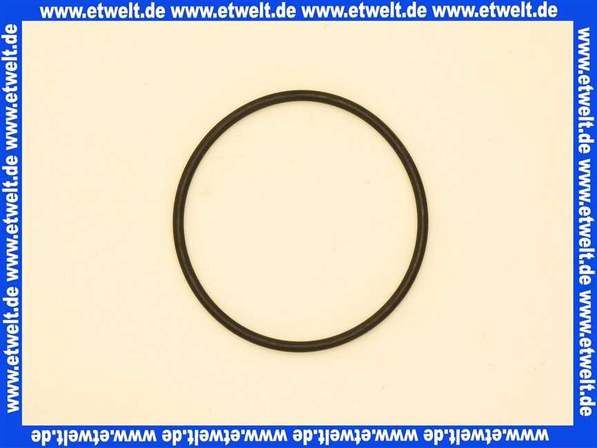 Stiebel Eltron 166060 O-RING 63X3