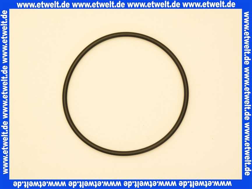 231501922 SYR O-Ring Dichtung zu Filtertasse für alle Drufi+ Wasserfilter Modelle