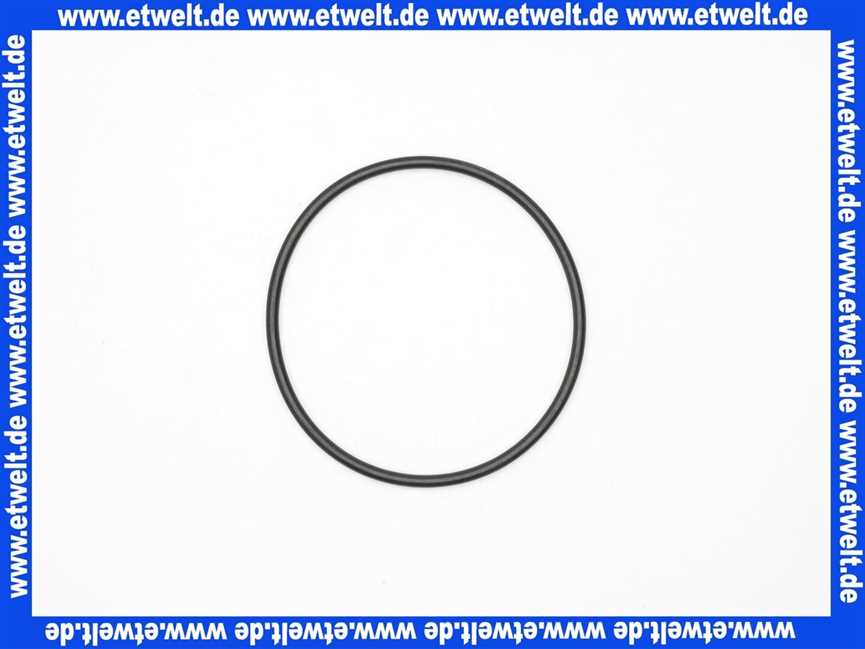 238000963 Syr Ditech O-Ring für Filtertasse