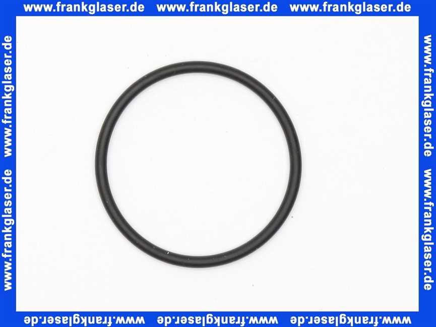 Vaillant O-Ring 982306