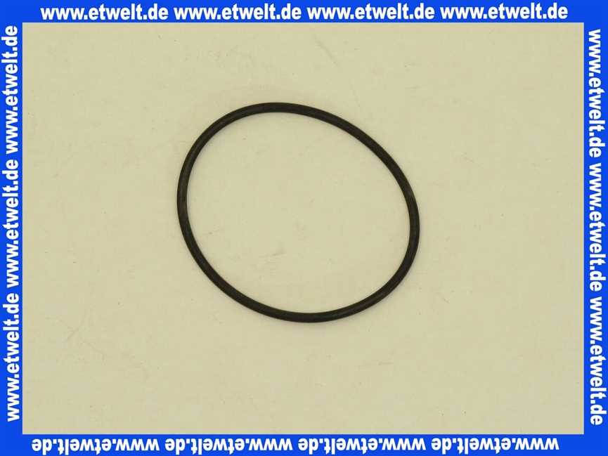 Vaillant O-Ring 982488