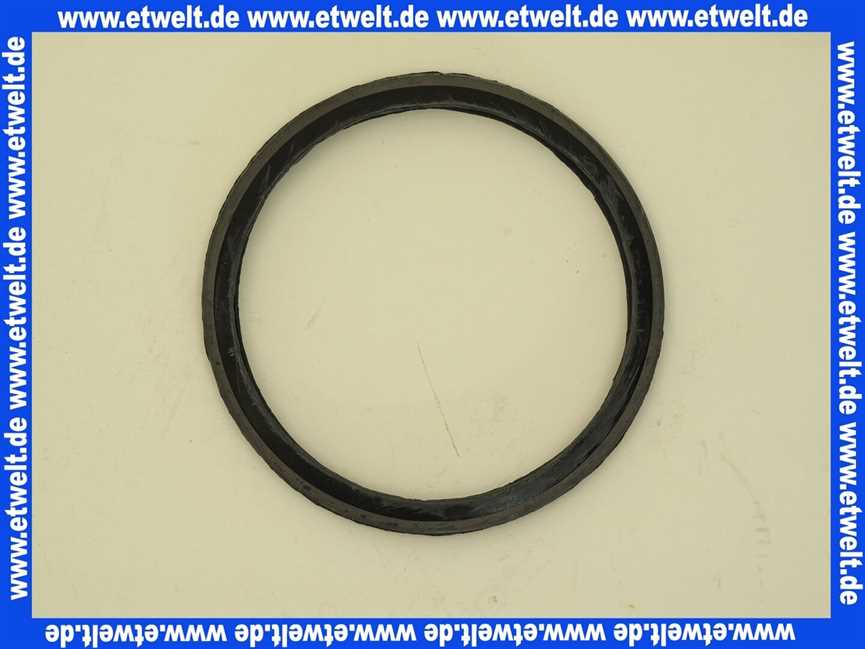 7810129 Viessmann Dichtung Trinkwasserfilter