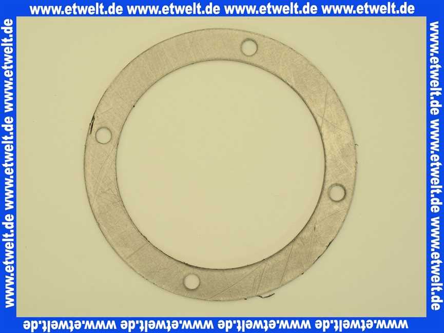 7810656 Viessmann Graphitdichtung