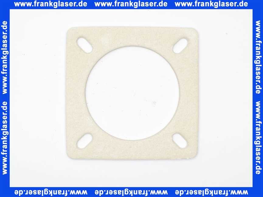 24111001107 Weishaupt Flanschdichtung W10-C