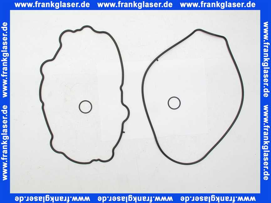 46201130242 Weishaupt Dichtungsset Wärmetauscher WTC-OB