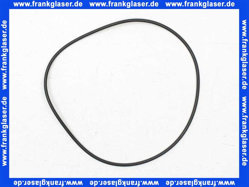 2003966 Wilo O-Ring Dichtung WJ 201/301/401 1311537