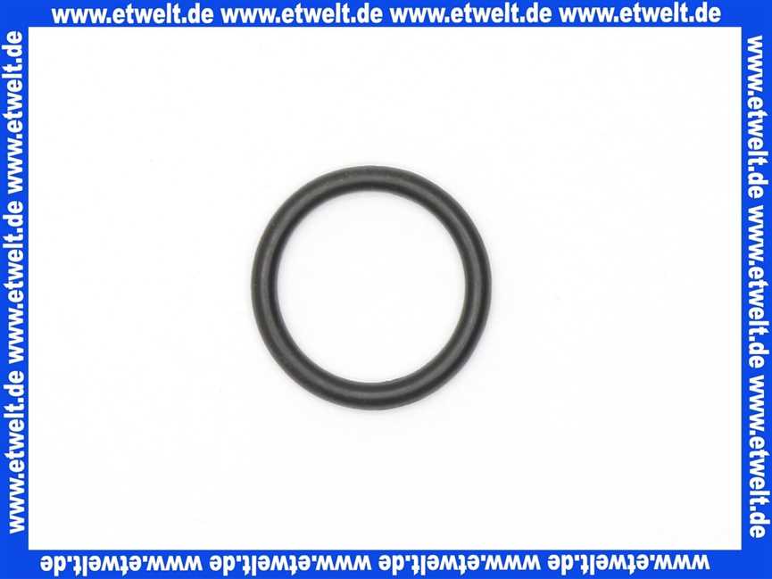 5718767199 Wolf O-Ring f.Strömungsschalter