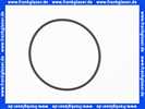 Bosch O-Ring 92x3 Viton 63002998