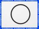 Bosch O-Ring 120,02x6,99-N 87185725380