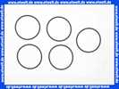 7736700104 Buderus O-Ring Askoll (5x)