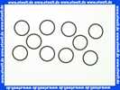 2-060509 BWT O-Ring Set