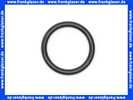 98182000 Hans Grohe O-Ring 21x3mm